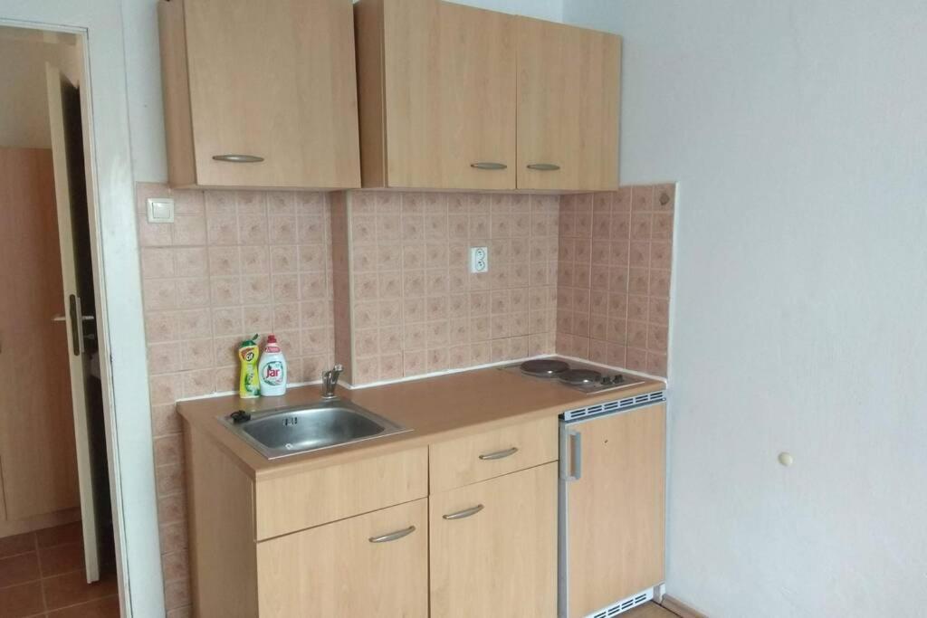 Apartman V Centru Ołomuniec Zewnętrze zdjęcie